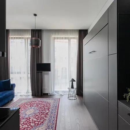 Old Town Renessainse 3 公寓 维尔纽斯