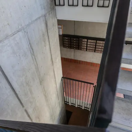 Old Town Renessainse 3 * 维尔纽斯